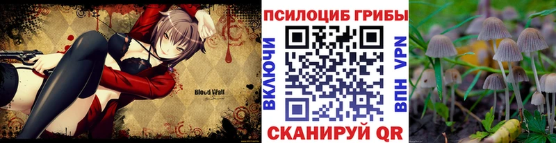 Галлюциногенные грибы мухоморы  Правдинск 